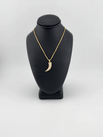 Brand New Brazilian 18k Gold Filled Design of Coyote tooth Box Necklace