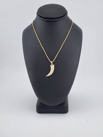 Brand New Brazilian 18k Gold Filled Design of Coyote tooth Box Necklace