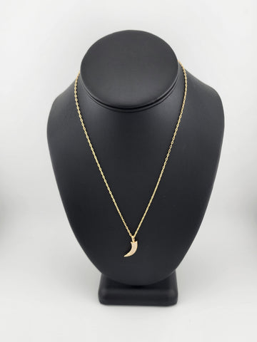 Brand New Brazilian 18k Gold Filled Coyote tooth Necklace