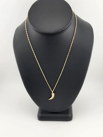 Brand New Brazilian 18k Gold Filled Coyote tooth Necklace