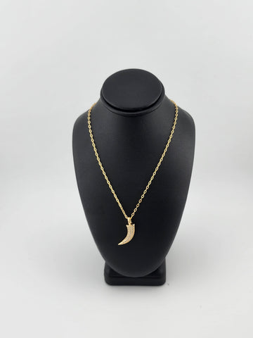 Brand New Brazilian 18k Gold Filled Coyote tooth Necklace