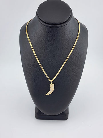 Brand New Brazilian 18k Gold Filled Coyote tooth Necklace