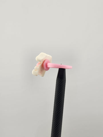 Cinnamoroll Cute Fashion Ring – Brand New